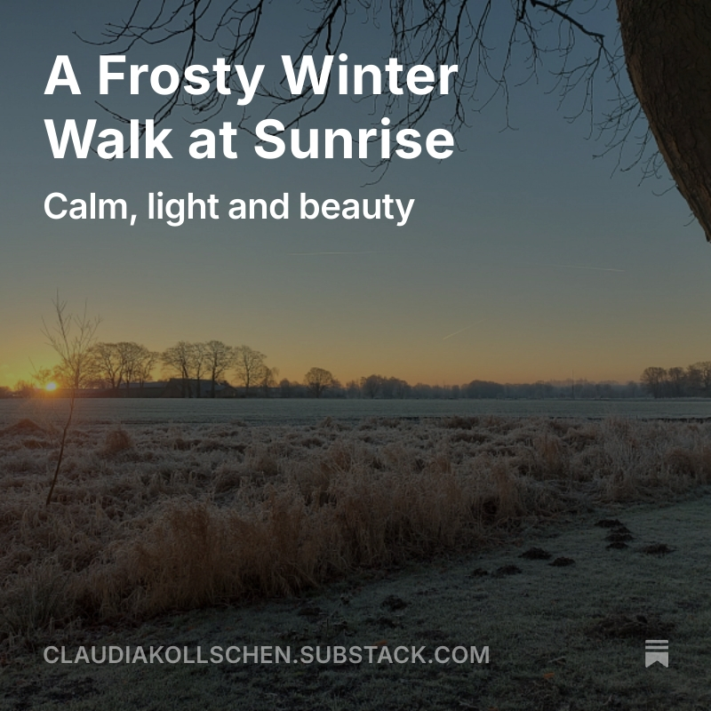 Blogpost A Frosty Winter Walk at Sunrise