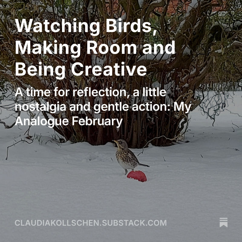 Blogpost Analogue February