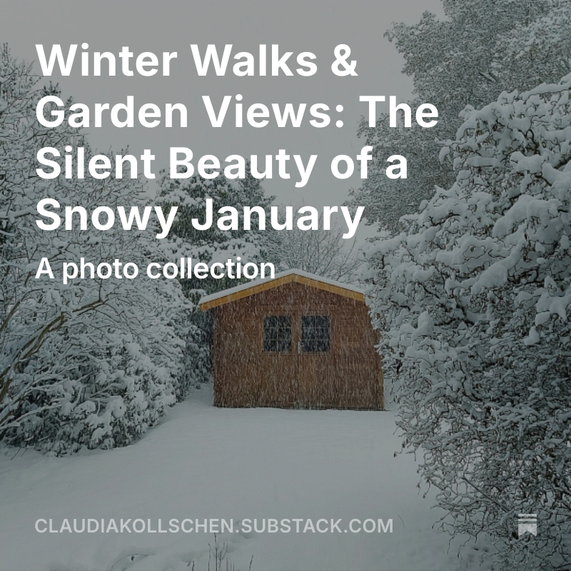 Blogpost Winter Walks and Garden Views