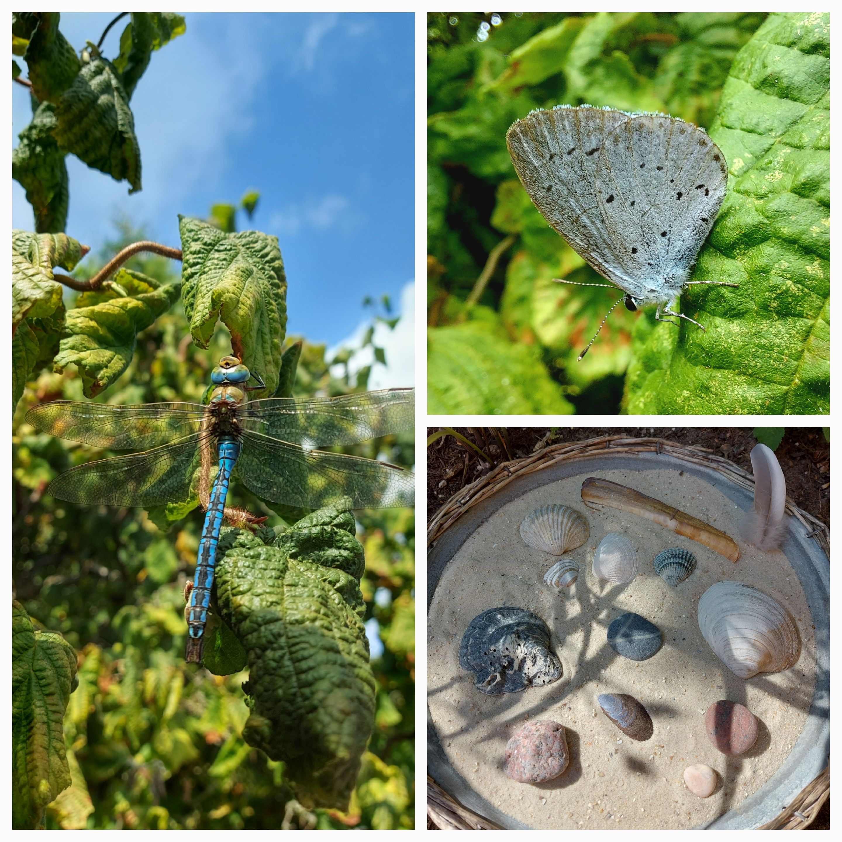 Collage Blau