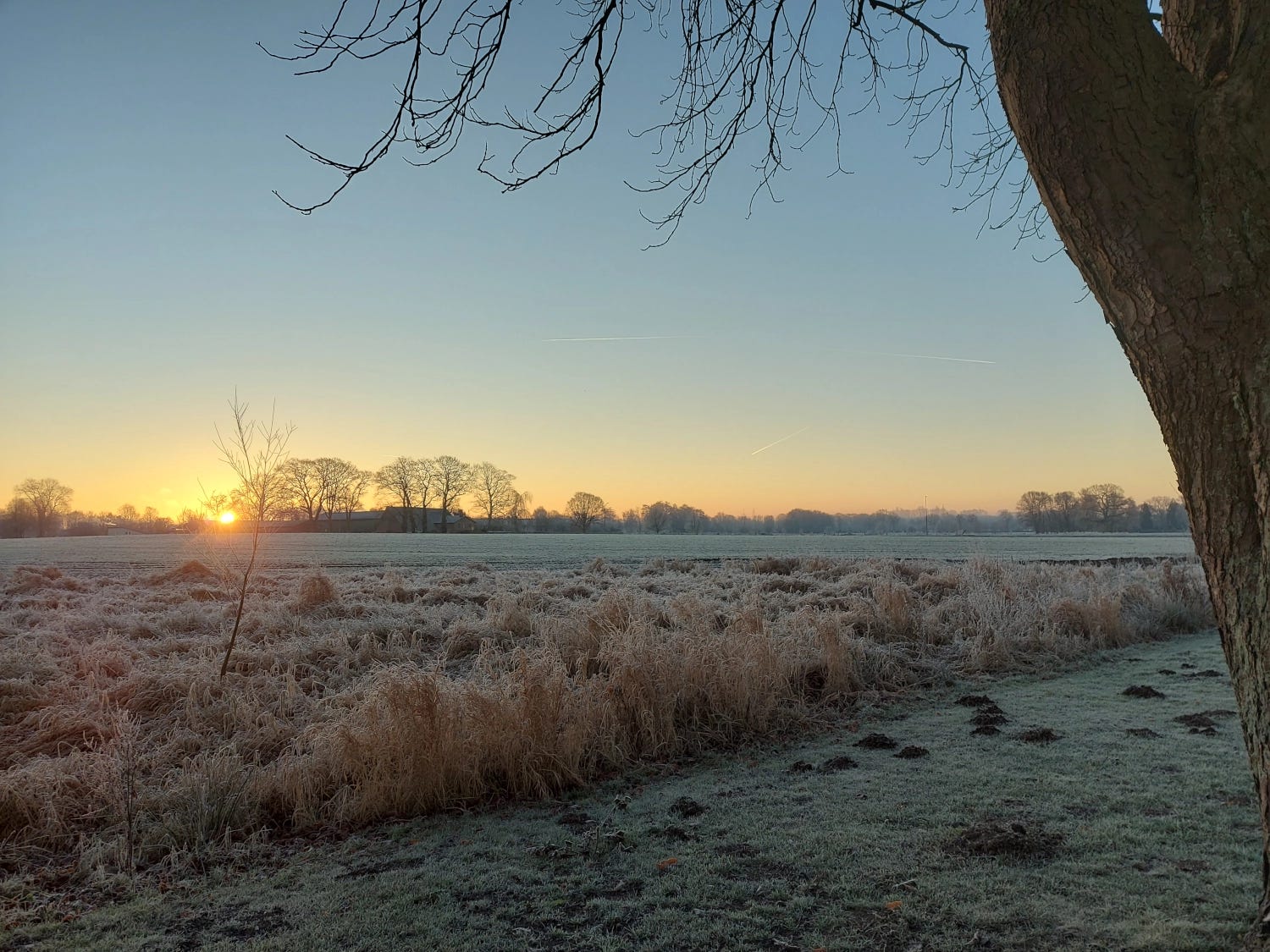 Frost Winter Walk at Sunrise