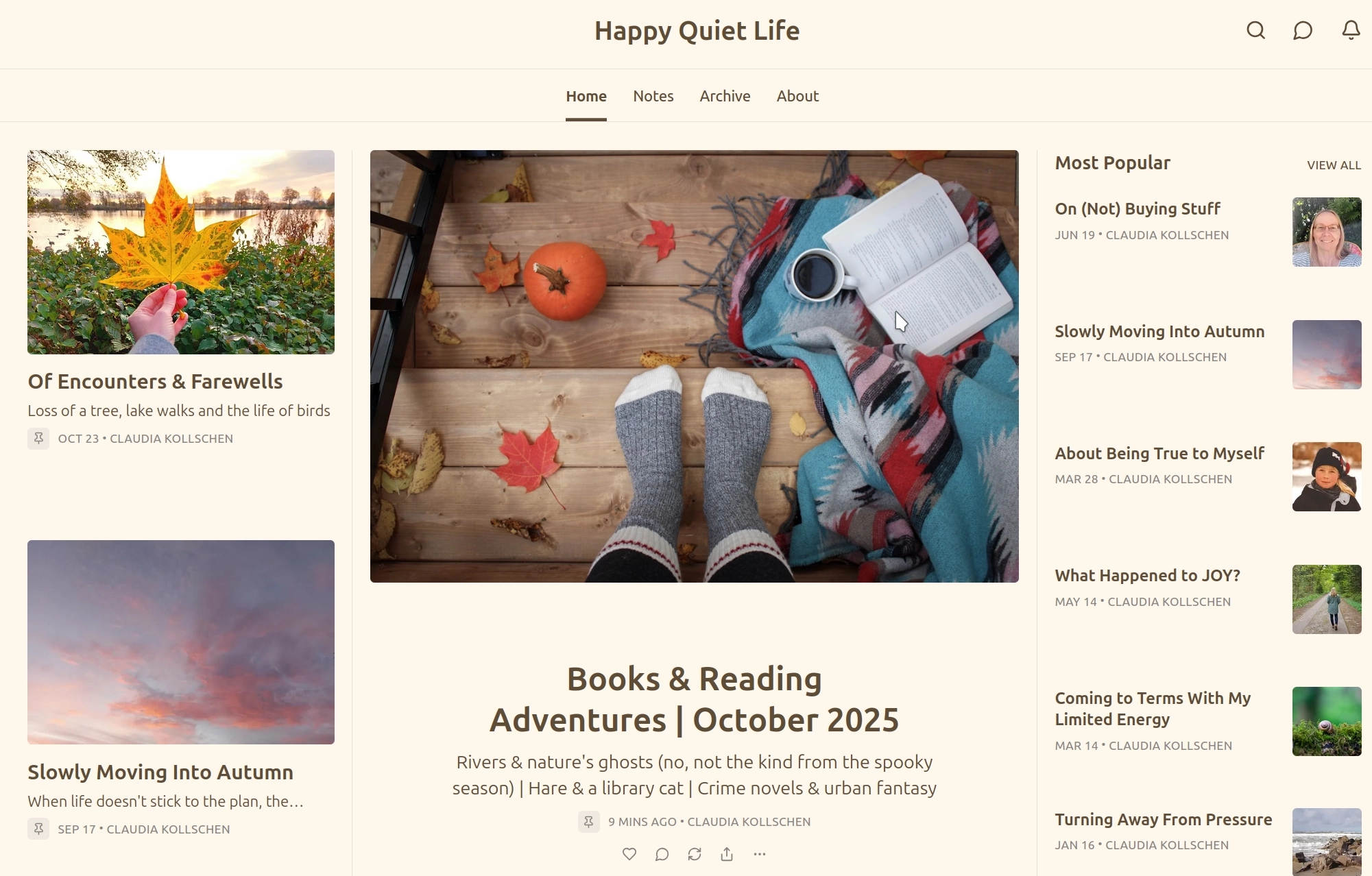 Happy Quiet Life Snapshot