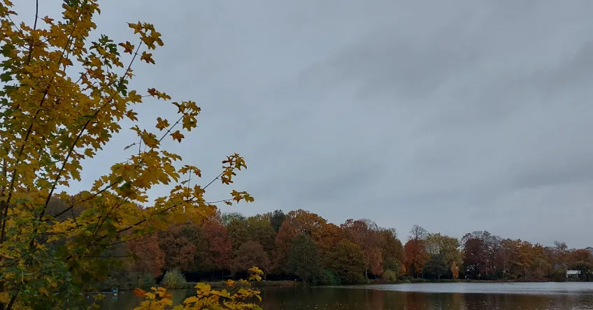 Rantzauer See grau in grau