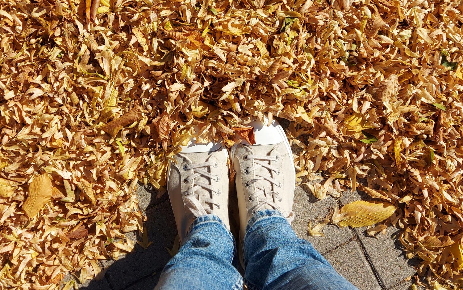 Schuhe im Herbstlaub