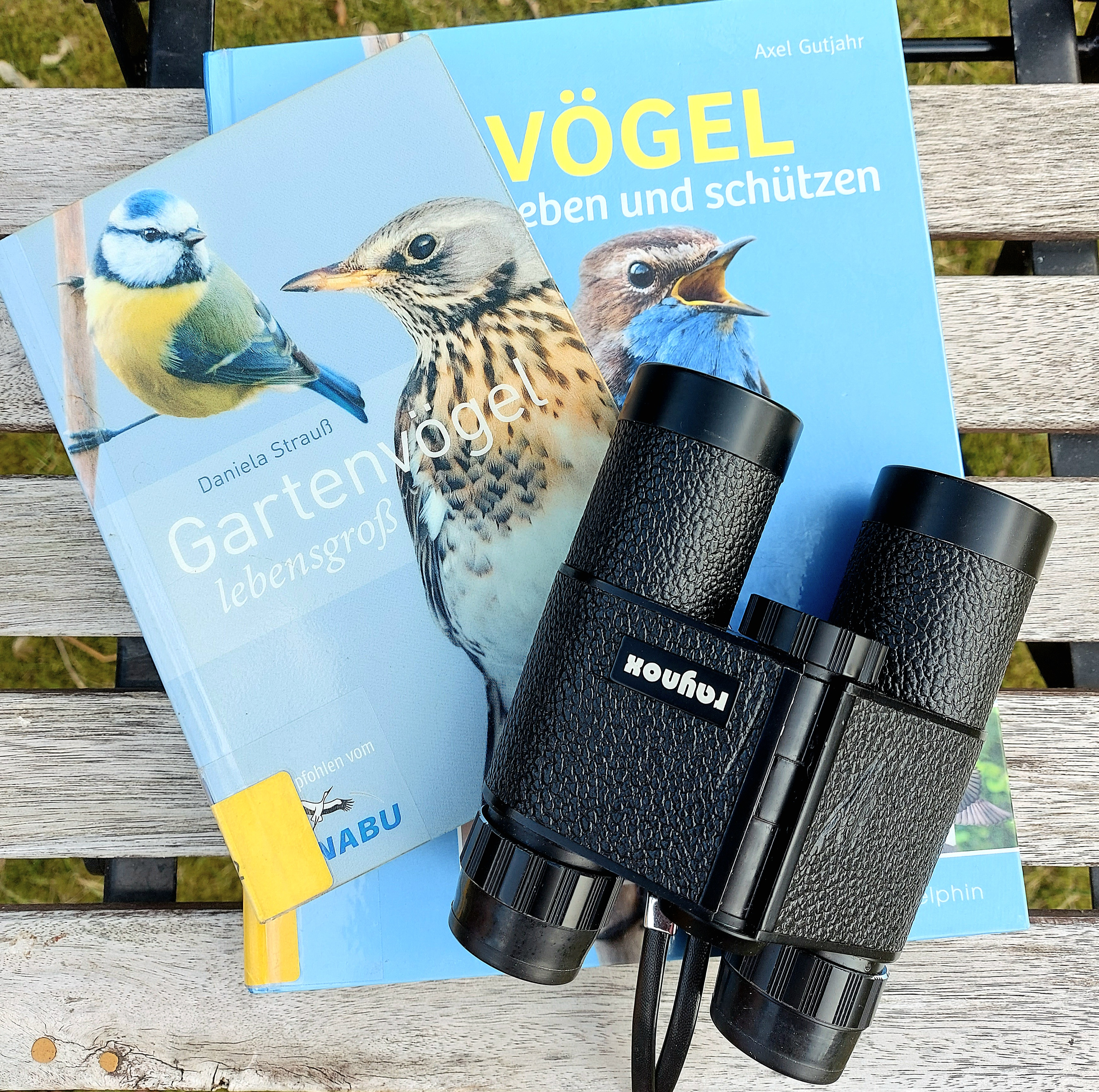 Stunde der Gartenvögel