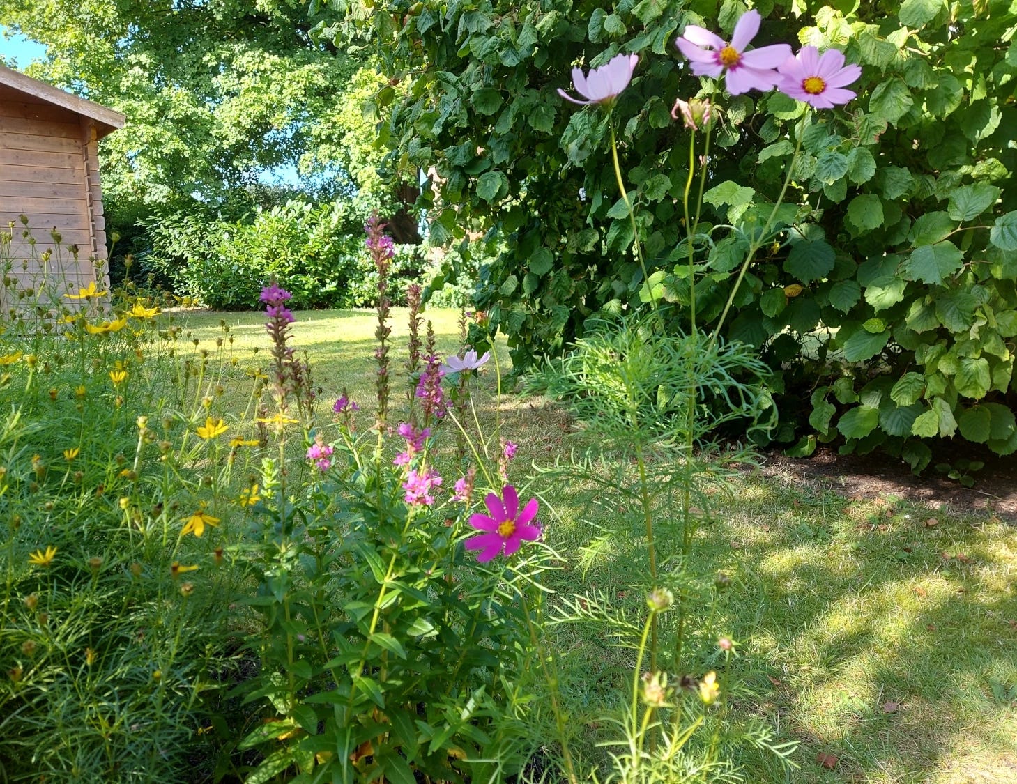 Unser Garten im Sommer
