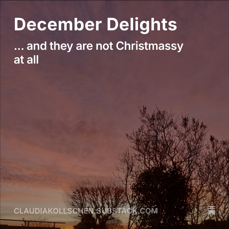 Blogpost December Delights
