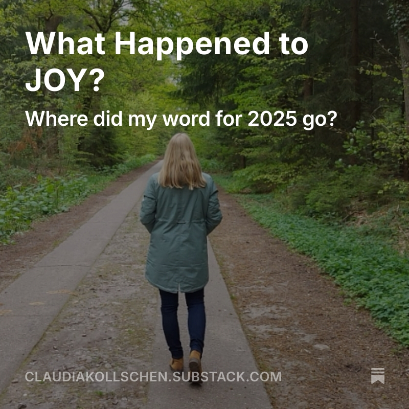 Blogpost What Happened to Joy